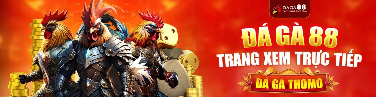 Đá gà trực tuyến 788bet với không khí sôi động và tỷ lệ cược hấp dẫn